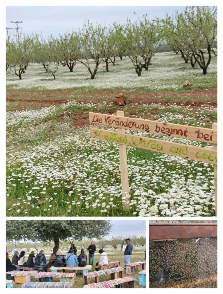 εικόνα_Viber_2026-02-27_09-54-40-377